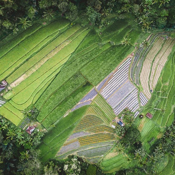Kids playground area in Italy